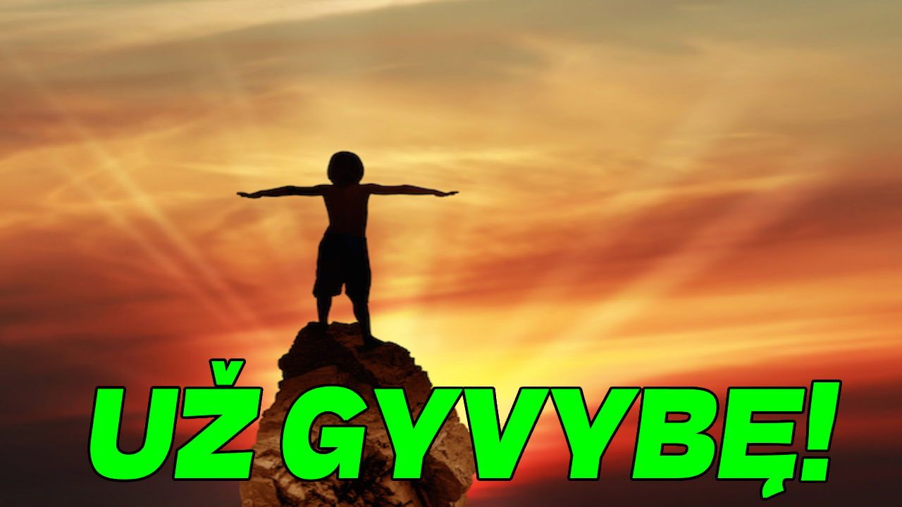 Kreipimasis į Lietuvos piliečius, Prezidentą, Seimą, Vyriausybę, Konstitucinį Teismą.